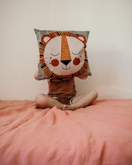 Shandor coussin Lion Leon